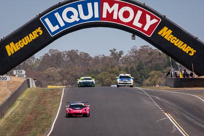 54;54;8-February-2014;Australia;Bathurst;Bathurst-12-Hour;Donut-King;Lotus-Exige-Cup-R;Mark-OConnor;NSW;New-South-Wales;Peter-Leemhuis;Tony-Alford;auto;endurance;motorsport;racing;super-telephoto