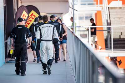 8-February-2014;Australia;Bathurst;Bathurst-12-Hour;Bernd-Schneider;Erebus-Motorsport;Erebus-Racing;NSW;New-South-Wales;atmosphere;auto;endurance;motorsport;racing;telephoto