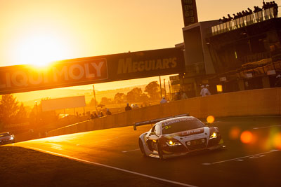 3;3;9-February-2014;Audi-R8-LMS-Ultra;Australia;Bathurst;Bathurst-12-Hour;Laurens-Vanthoor;NSW;New-South-Wales;Phoenix-Racing;Rahel-Frey;Rene-Rast;René-Rast;auto;endurance;motorsport;racing;sunrise;telephoto