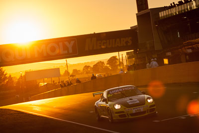 6;6;9-February-2014;Australia;Bathurst;Bathurst-12-Hour;Garth-Duffy;Michael-Hector;NSW;New-South-Wales;Porsche-997-GT3-Cup;Richard-Gartner;SAFE‒T‒STOP;Stewart-Kostera;auto;endurance;motorsport;racing;sunrise;telephoto