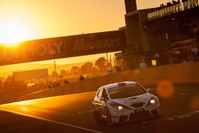 66;9-February-2014;Australia;Bathurst;Bathurst-12-Hour;Danny-Stutterd;Guy-Stewart;Michael-Driver;Motorsport-Services;NSW;New-South-Wales;Seat-Leon-Supercopa;auto;endurance;motorsport;racing;sunrise;telephoto