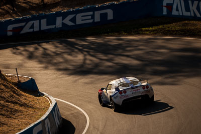 55;55;9-February-2014;Australia;Bathurst;Bathurst-12-Hour;Ben-Gower;Gordon-Shedden;Lotus-Exige-S;Motionsport;NSW;New-South-Wales;Pete-Storey;auto;endurance;motorsport;racing;telephoto