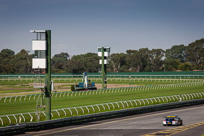 22;22;29-March-2014;Australia;Matt-Campbell;Porsche-911-GT3-Cup;Porsche-GT3-Cup-Challenge;Sandown-Raceway;Shannons-Nationals;Victoria;telephoto