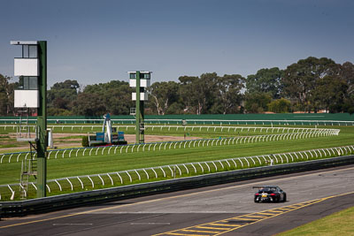 5;29-March-2014;5;Australia;Objective-Racing;Porsche-911-GT3-Cup;Porsche-GT3-Cup-Challenge;Sandown-Raceway;Shannons-Nationals;Tony-Walls;Victoria;telephoto