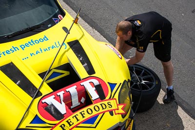 7;29-March-2014;7;AGT;Aston-Martin-Vantage-GT3;Australia;Australian-GT-Championship;Grand-Tourer;Sandown-Raceway;Shannons-Nationals;Tony-Quinn;VIP-Petfoods;Victoria;atmosphere;detail;pit-crew;telephoto