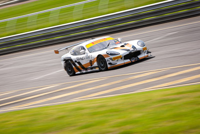 9;29-March-2014;9;AGT;Australia;Australian-GT-Championship;Ginetta-G50-GT4;Grand-Tourer;Sandown-Raceway;Shannons-Nationals;TM-Motorsports;Tony-Martin;Victoria;motion-blur;telephoto