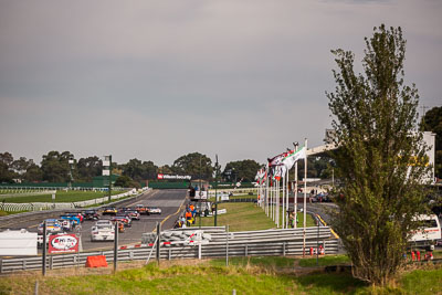 29-March-2014;AGT;Australia;Australian-GT-Championship;Grand-Tourer;Sandown-Raceway;Shannons-Nationals;Victoria;atmosphere;race-start;telephoto