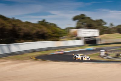 9;29-March-2014;9;AGT;Australia;Australian-GT-Championship;Ginetta-G50-GT4;Grand-Tourer;Sandown-Raceway;Shannons-Nationals;TM-Motorsports;Tony-Martin;Victoria;motion-blur;telephoto