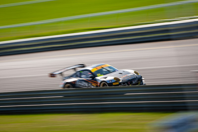 47;30-March-2014;AGT;Australia;Australian-GT-Championship;Grand-Tourer;James-Koundouris;Porsche-FIA-GT3‒R;Sandown-Raceway;Shannons-Nationals;Steven-Owen;Supabarn-Supermarkets;Victoria;motion-blur;telephoto