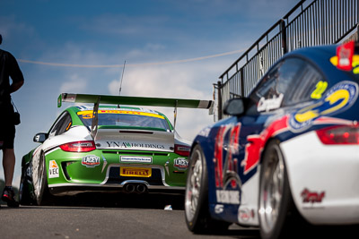 3;3;30-March-2014;Australia;Eva-Racing;Peter-Fitzgerald;Porsche-911-GT3-Cup;Porsche-GT3-Cup-Challenge;Sandown-Raceway;Shannons-Nationals;Victoria;telephoto