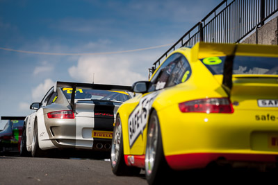 81;30-March-2014;81;Australia;Michael-Tsigeridis;Porsche-911-GT3-Cup;Porsche-GT3-Cup-Challenge;Sandown-Raceway;Shannons-Nationals;Victoria;telephoto
