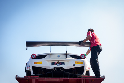 88;30-March-2014;50mm;88;AGT;Australia;Australian-GT-Championship;Ferrari-458-Italia-GT3;Grand-Tourer;IL-Bello-Rosso-Maranello-Motorsport;John-Bowe;Maranello-Motorsport;Peter-Edwards;Sandown-Raceway;Shannons-Nationals;Victoria;atmosphere