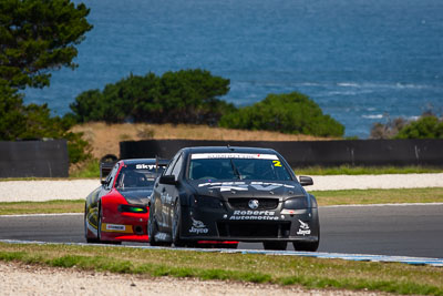 2;2;25-November-2018;Australia;Holden-Commodore-VE-II;Island-Magic;Phillip-Island;Sports-Sedans;Steven-Page;Victoria;auto;motorsport;racing;super-telephoto