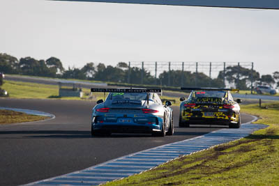 29;29;8-June-2019;Australia;Phillip-Island;Porsche-GT3-Cup;Porsche-GT3-Cup-Challenge;Pro‒Am;Rob-Woods;Shannons-Nationals;Victoria;auto;motorsport;racing;super-telephoto