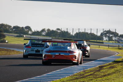 14;14;8-June-2019;Australia;Matt-Belford;Phillip-Island;Porsche-GT3-Cup;Porsche-GT3-Cup-Challenge;Pro‒Am;Shannons-Nationals;Victoria;auto;motorsport;racing;super-telephoto