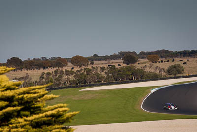 8-June-2019;Australia;Garry-Rogers-Motorsport;Phillip-Island;S5000;Shannons-Nationals;Tim-Macrow;Victoria;auto;motorsport;racing;super-telephoto