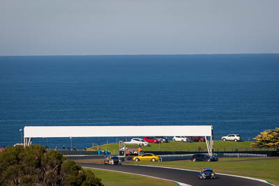 4;4;8-June-2019;Audi-RS-3;Australia;Australian-TCR;Garth-Tander;Melbourne-Performance-Centre;Phillip-Island;Shannons-Nationals;Victoria;auto;motorsport;racing;super-telephoto