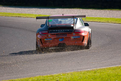 9;8-June-2019;9;Australia;Class-B;Phillip-Island;Porsche-GT3-Cup;Porsche-GT3-Cup-Challenge;Shannons-Nationals;TM-Motorsports;Tony-Martin;Victoria;auto;motorsport;racing;super-telephoto
