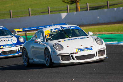 7;7;8-June-2019;Australia;Phillip-Island;Porsche-GT3-Cup;Porsche-GT3-Cup-Challenge;Pro;Ryan-Suhle;Ryan-Suhle-Racing;Shannons-Nationals;Victoria;auto;motorsport;racing;super-telephoto