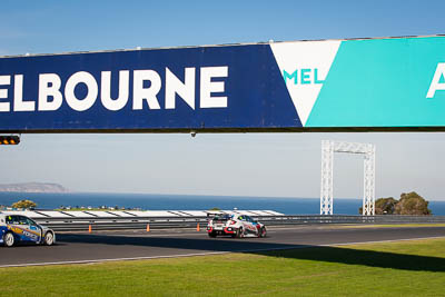 50;50;8-June-2019;Australia;Australian-TCR;Honda-Civic-Type-R;Phillip-Island;Shannons-Nationals;Tony-DAlberto;Victoria;Wall-Racing;auto;motorsport;racing;telephoto