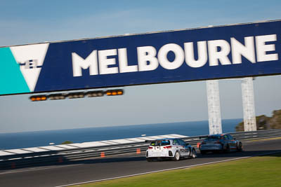30;30;8-June-2019;Australia;Australian-TCR;HMO-Customer-Racing;Hyundai-I30N;Phillip-Island;Shannons-Nationals;Victoria;William-Brown;auto;motorsport;racing;telephoto