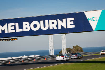 30;30;8-June-2019;Australia;Australian-TCR;HMO-Customer-Racing;Hyundai-I30N;Phillip-Island;Shannons-Nationals;Victoria;William-Brown;auto;motorsport;racing;telephoto