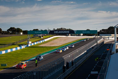 12;76;77;78;12;76;77;78;9-June-2019;Aaron-Love;Australia;Christian-Pancione;Harri-Jones;Max-Vidau;Phillip-Island;Porsche-GT3-Cup;Porsche-GT3-Cup-Challenge;Pro;Shannons-Nationals;Sonic-Motor-Racing;Victoria;auto;motorsport;race-start;racing;telephoto