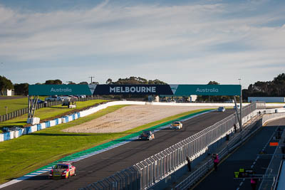 13;13;9-June-2019;Australia;Phillip-Island;Porsche-GT3-Cup;Porsche-GT3-Cup-Challenge;Pro‒Am;Sam-Shahin;Shannons-Nationals;Victoria;auto;motorsport;racing;telephoto