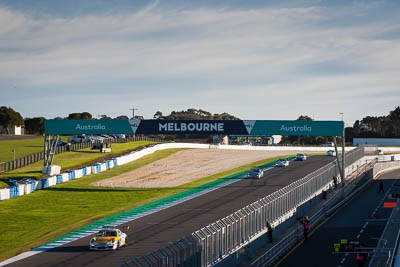 99;9-June-2019;99;Australia;Phillip-Island;Porsche-GT3-Cup;Porsche-GT3-Cup-Challenge;Pro‒Am;Ross-McGregor;Shannons-Nationals;Victoria;auto;motorsport;racing;telephoto