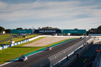 131;14;131;14;9-June-2019;Australia;Graham-Williams;Matt-Belford;Phillip-Island;Porsche-GT3-Cup;Porsche-GT3-Cup-Challenge;Pro‒Am;Shannons-Nationals;Sonic-Motor-Racing;Victoria;Williams-Racing;auto;motorsport;racing;telephoto