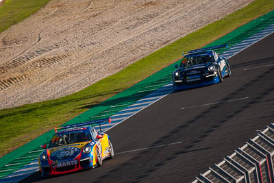 77;77;9-June-2019;Australia;Max-Vidau;Phillip-Island;Porsche-GT3-Cup;Porsche-GT3-Cup-Challenge;Pro;Shannons-Nationals;Sonic-Motor-Racing;Victoria;auto;motorsport;racing;super-telephoto