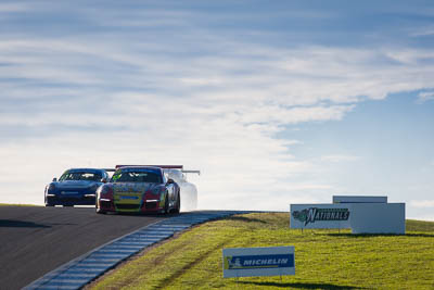 13;13;9-June-2019;Australia;Phillip-Island;Porsche-GT3-Cup;Porsche-GT3-Cup-Challenge;Pro‒Am;Sam-Shahin;Shannons-Nationals;Victoria;auto;motorsport;racing;super-telephoto