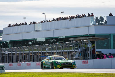 8;8;9-June-2019;AGT;Australia;Australian-GT;Australian-GT-Championship;Grand-Tourer;Max-Twigg;Mercedes‒Benz-AMG-GT3;Phillip-Island;Shannons-Nationals;Tony-DAlberto;Victoria;WM-Waste-Management;auto;motorsport;racing;telephoto