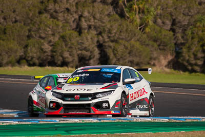 50;50;9-June-2019;Australia;Australian-TCR;Honda-Civic-Type-R;Phillip-Island;Shannons-Nationals;Tony-DAlberto;Victoria;Wall-Racing;auto;motorsport;racing;super-telephoto