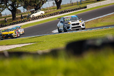 777;777;9-June-2019;Andre-Heimgartner;Australia;Australian-TCR;Kelly-Racing;Phillip-Island;Shannons-Nationals;Subaru-WRX-STI;Victoria;auto;motorsport;racing;super-telephoto