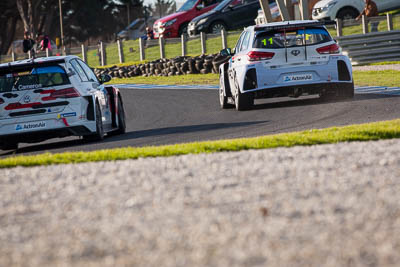 11;11;9-June-2019;Australia;Australian-TCR;HMO-Customer-Racing;Hyundai-I30N;Nathan-Morcom;Phillip-Island;Shannons-Nationals;Victoria;auto;motorsport;racing;super-telephoto