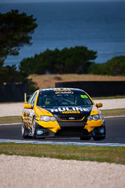 65;23-November-2019;65;Australia;Ford-Falcon-BF;Island-Magic;Phillip-Island;Richard-Newman;Sports-Sedans;VIC;Victoria;auto;motorsport;racing;super-telephoto