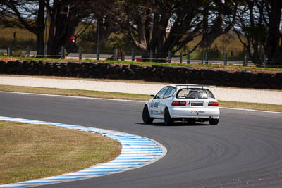 87;23-November-2019;87;Australia;Honda-Civic;Improved-Production;Island-Magic;Kevin-Coulson;Phillip-Island;VIC;Victoria;auto;motorsport;racing;super-telephoto