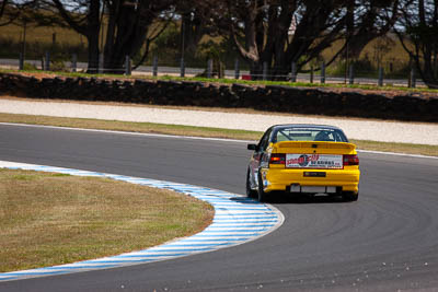 6;23-November-2019;6;Australia;Holden-Commodore-VN;Improved-Production;Island-Magic;Phillip-Island;Troy-Lloyd;VIC;Victoria;auto;motorsport;racing;super-telephoto