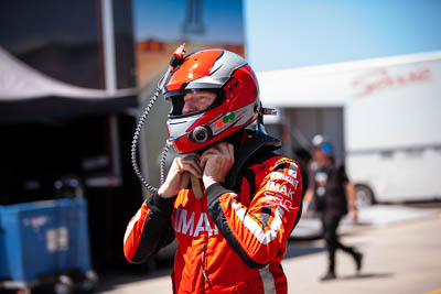 24-November-2019;Andrew-MacPherson;Australia;Island-Magic;Phillip-Island;Sports-Cars;VIC;Victoria;atmosphere;auto;motorsport;paddock;portrait;racing;telephoto