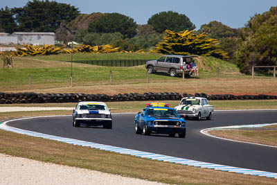 69;24-November-2019;69;Australia;Ford-Mustang;Historic-Touring-Cars;Island-Magic;Michael-Miceli;Phillip-Island;VIC;Victoria;auto;motorsport;racing;super-telephoto