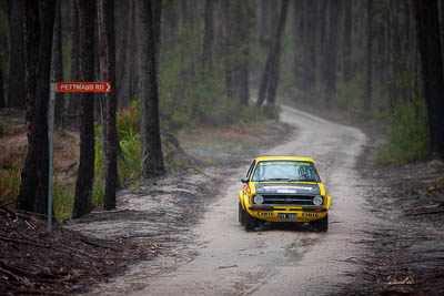 30-November-2019;Alpine-Rally;Australia;Demo-1;Ford-Escort;Gippsland;Joel-Perkins;John-Hadden;Rally;VIC;auto;classic;historic;motorsport;racing;special-stage;super-telephoto;vintage