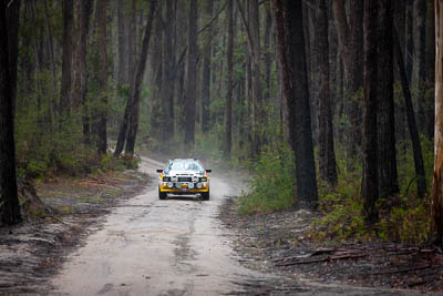 30-November-2019;Alpine-Rally;Audi-Quattro;Australia;Demo-2;Doug-Fernie;Gippsland;Hilary-Evans;Rally;VIC;auto;classic;historic;motorsport;racing;special-stage;super-telephoto;vintage