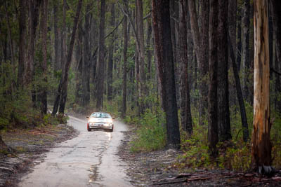 0;0;30-November-2019;Alpine-Rally;Australia;Gippsland;Mitsubishi-Eclipse;Rally;VIC;auto;classic;historic;motorsport;racing;special-stage;super-telephoto;vintage