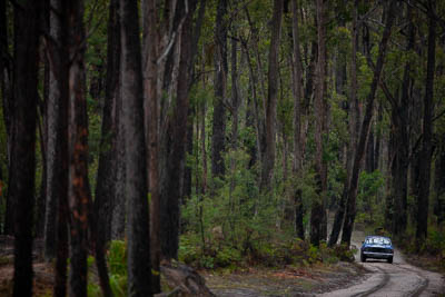 4;1973-Datsun-180B-SSS;30-November-2019;4;Alpine-Rally;Australia;CRC;Dale-Moscatt;Datsun;Gippsland;Jack-Monkhouse;Rally;VIC;auto;classic;historic;motorsport;racing;special-stage;super-telephoto;vintage