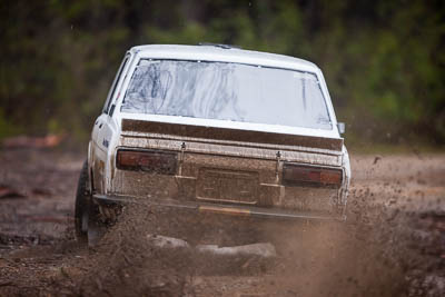 3;3;30-November-2019;Alpine-Rally;Australia;Brendan-Reeves;CRC;Datsun;Datsun-1600;Gippsland;Rally;Rhianon-Gelsomino;VIC;auto;classic;historic;motorsport;racing;special-stage;super-telephoto;vintage