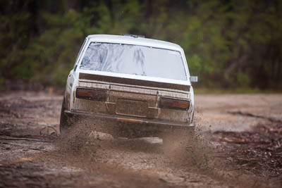 3;3;30-November-2019;Alpine-Rally;Australia;Brendan-Reeves;CRC;Datsun;Datsun-1600;Gippsland;Rally;Rhianon-Gelsomino;VIC;auto;classic;historic;motorsport;racing;special-stage;super-telephoto;vintage