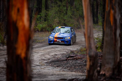 8;1999-Toyota-Altezza;30-November-2019;8;Alpine-Rally;Australia;Bryan-van-Eck;Gippsland;Jim-Gleeson;P20;Rally;Toyota;VIC;auto;classic;historic;motorsport;racing;special-stage;super-telephoto;vintage