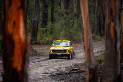 20;1971-Datsun-1600;20;30-November-2019;Alpine-Rally;Australia;C2;Datsun;Gippsland;Michael-Valantine;Rally;Timothy-Valantine;VIC;auto;classic;historic;motorsport;racing;special-stage;super-telephoto;vintage