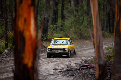 20;1971-Datsun-1600;20;30-November-2019;Alpine-Rally;Australia;C2;Datsun;Gippsland;Michael-Valantine;Rally;Timothy-Valantine;VIC;auto;classic;historic;motorsport;racing;special-stage;super-telephoto;vintage